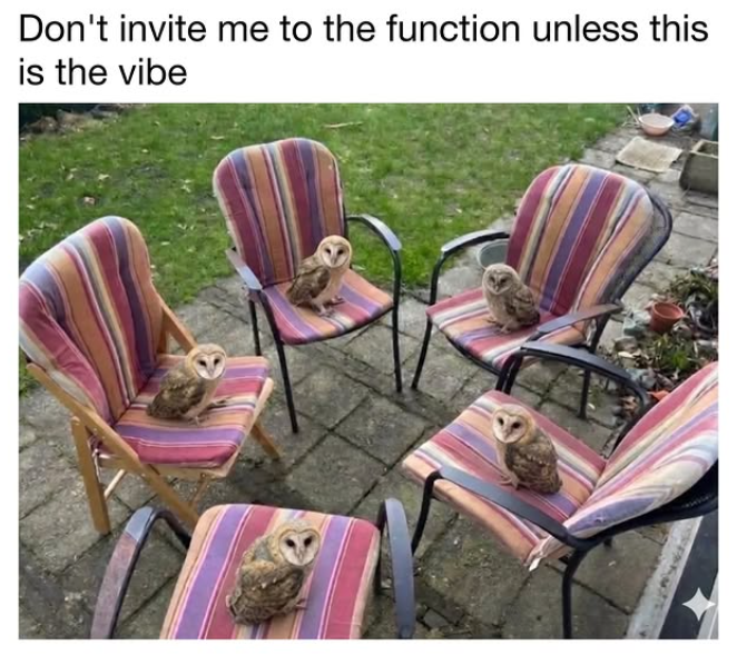 Don't invite me to the function unless this is the vibe
