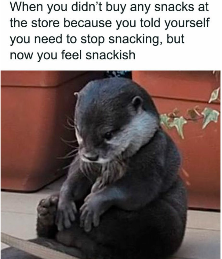 When you didn't buy any snacks at the store because you told yourself you need to stop snacking, but now you feel snackish