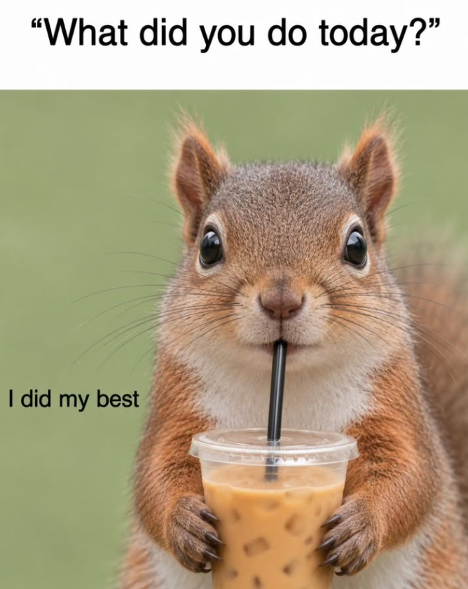"What did you do today?" I did my best