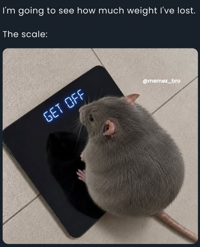 I'm going to see how much weight I've lost. The scale: GET OFF @memex_bro
