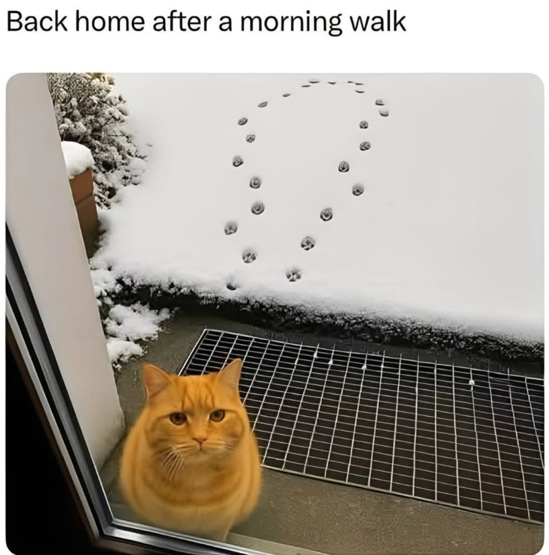 Back home after a morning walk