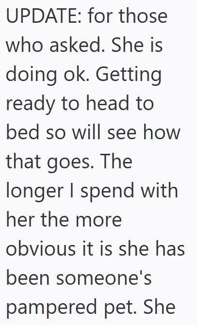 UPDATE: for those who asked. She is doing ok. Getting ready to head to bed so will see how that goes. The longer I spend with her the more obvious it is she has been someone's pampered pet. She