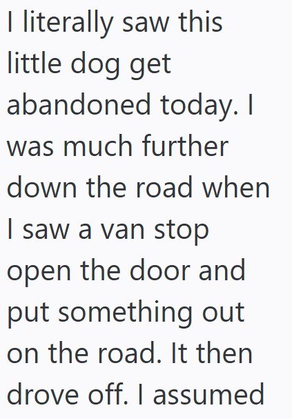 I literally saw this little dog get abandoned today. I was much further down the road when I saw a van stop open the door and put something out on the road. It then drove off. I assumed