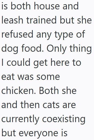 is both house and leash trained but she refused any type of dog food. Only thing I could get here to eat was some chicken. Both she and then cats are currently coexisting but everyone is
