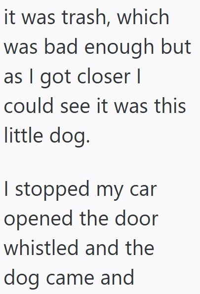 it was trash, which was bad enough but as I got closer I could see it was this little dog. I stopped my car opened the door whistled and the dog came and
