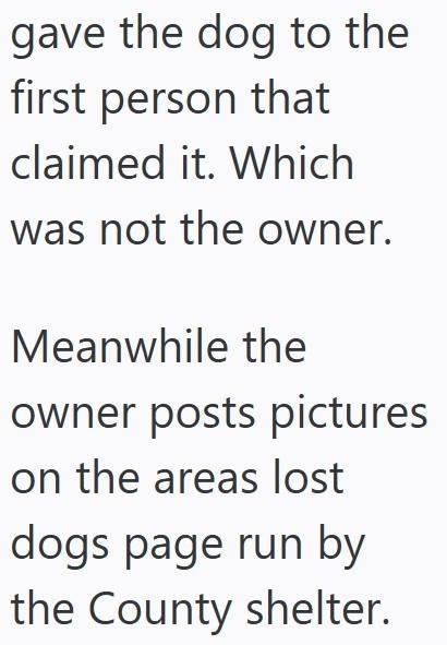 gave the dog to the first person that claimed it. Which was not the owner. Meanwhile the owner posts pictures on the areas lost dogs page run by the County shelter.