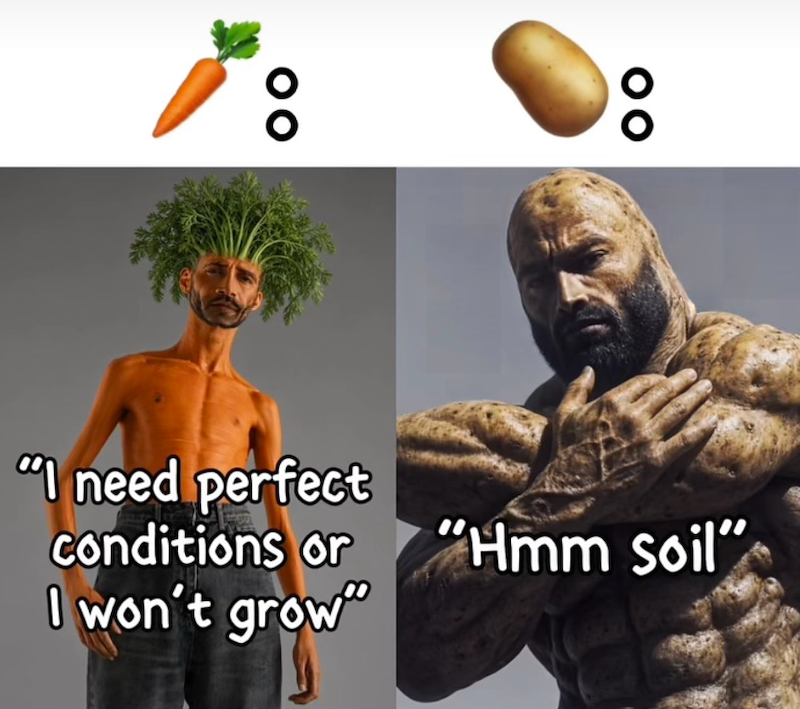 00 "I need perfect conditions or I won't grow" "Hmm soil"