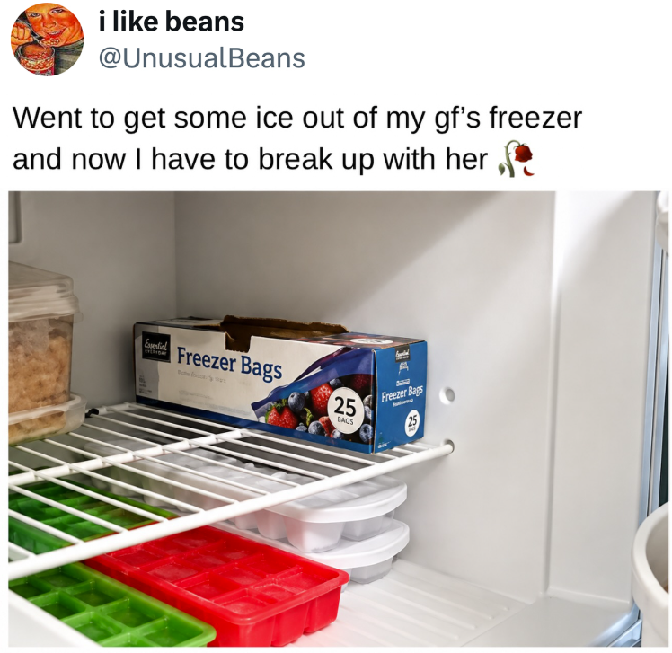 i like beans @UnusualBeans Went to get some ice out of my gf's freezer and now I have to break up with her Essential EVERYDAY Freezer Bags Freezer Bags 25 BAGS