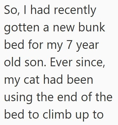 So, I had recently gotten a new bunk bed for my 7 year old son. Ever since, my cat had been using the end of the bed to climb up to
