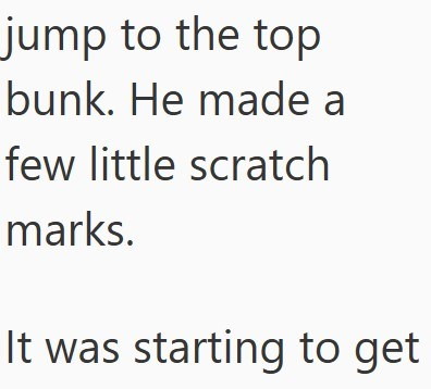 jump to the top bunk. He made a few little scratch marks. It was starting to get