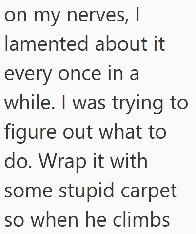 on my nerves, I lamented about it every once in a while. I was trying to figure out what to do. Wrap it with some stupid carpet so when he climbs