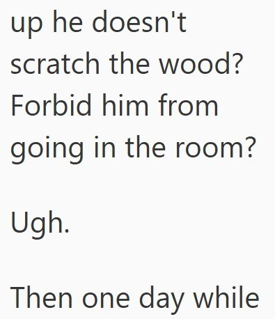 up he doesn't scratch the wood? Forbid him from going in the room? Ugh. Then one day while