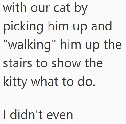 with our cat by picking him up and "walking" him up the stairs to show the kitty what to do. I didn't even