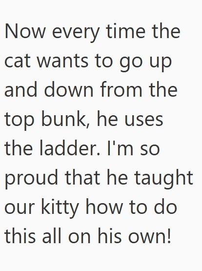 Now every time the cat wants to go up and down from the top bunk, he uses the ladder. I'm so proud that he taught our kitty how to do this all on his own!
