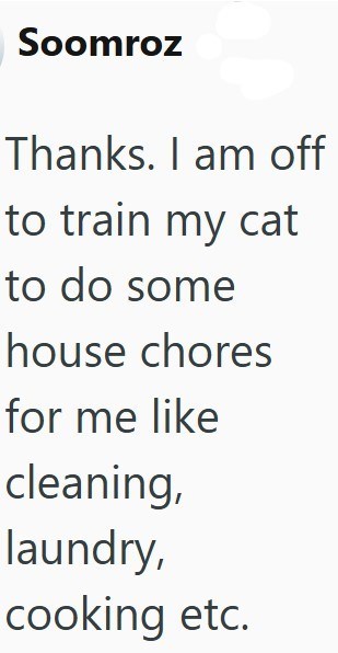 Soomroz Thanks. I am off to train my cat to do some house chores for me like cleaning, laundry, cooking etc.