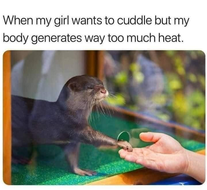 When my girl wants to cuddle but my body generates way too much heat.