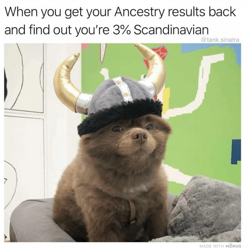@tank.sinatra When you get your Ancestry results back and find out you're 3% Scandinavian 7 MADE WITH MOMUS