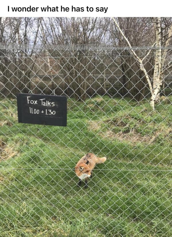 I wonder what he has to say Fox Talks 1100+1.30