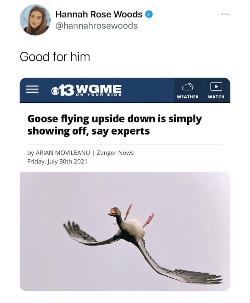 Hannah Rose Woods @hannahrosewoods Good for him = 13 WGME ON YOUR SIDE WEATHER WATCH Goose flying upside down is simply showing off, say experts by ARIAN MOVILEANU | Zenger News Friday, July 30th 2021 600