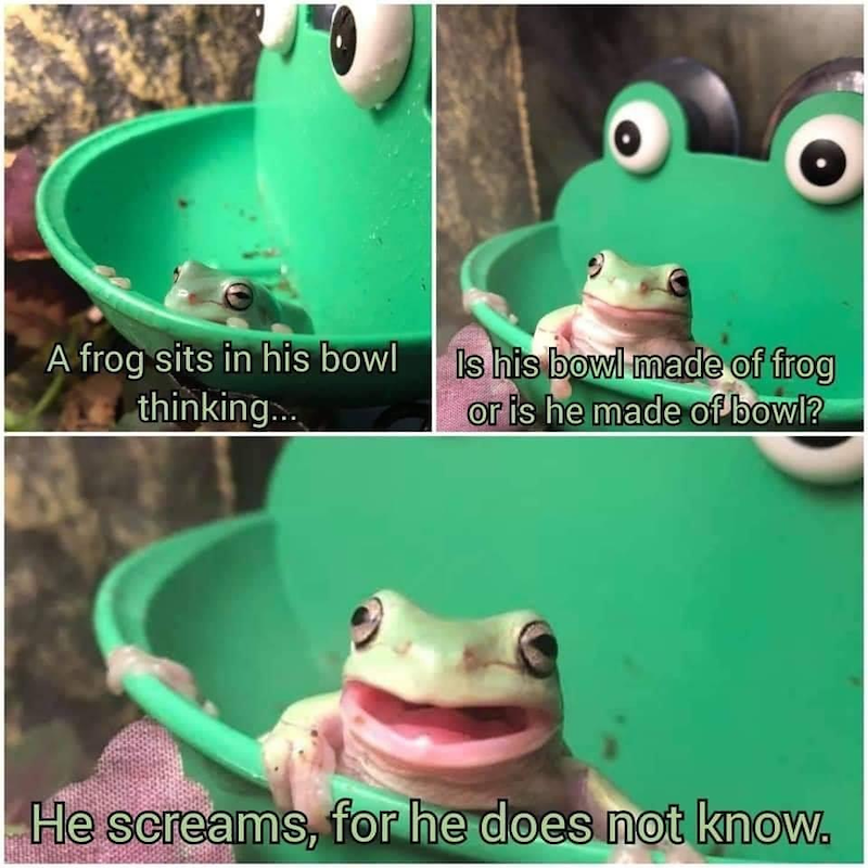 A frog sits in his bowl thinking... Is his bowl made of frog or is he made of bowl? He screams, for he does not know.