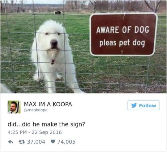 MAX IM A KOOPA @meakoopa did...did he make the sign? 4:25 PM - 22 Sep 2016 37,004 74,005 AWARE OF DOG pleas pet dog Follow