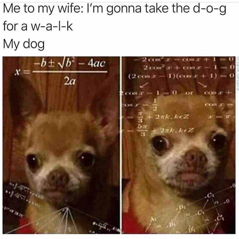Me to my wife: I'm gonna take the d-o-g for a w-a-l-k My dog -b±√√√b-4ac 20 2 co X= (2 com 2a <-12 1)(cos.ex or 2xk. keZ 5577 2ak kez COM RUPUIS"