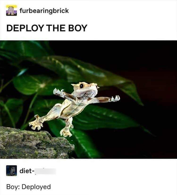furbearingbrick DEPLOY THE BOY diet- Boy: Deployed