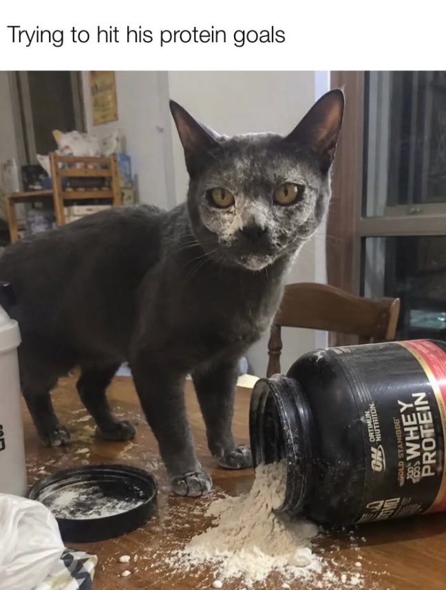Trying to hit his protein goals ON ORTIMUN HIUTRITON OLD STANDDE WHEY PROTEIN