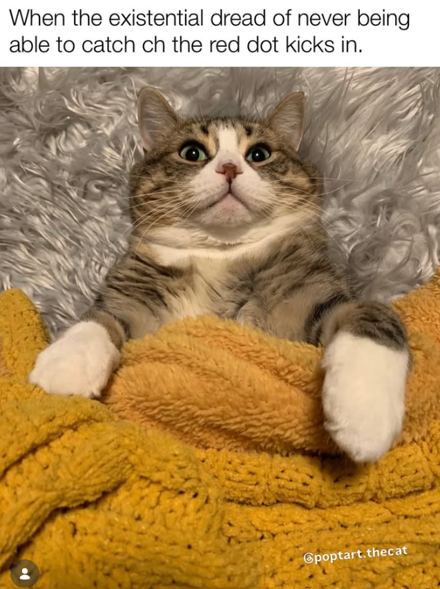 When the existential dread of never being able to catch ch the red dot kicks in. Gpoptart.thecat