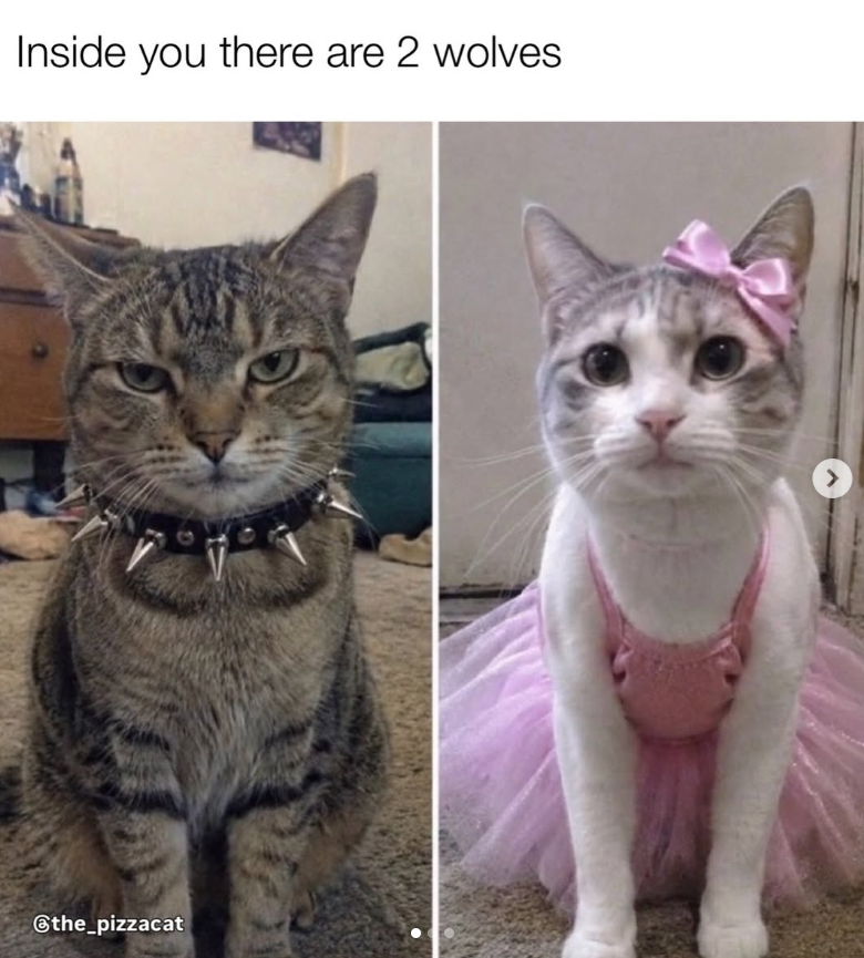 Inside you there are 2 wolves @the_pizzacat >