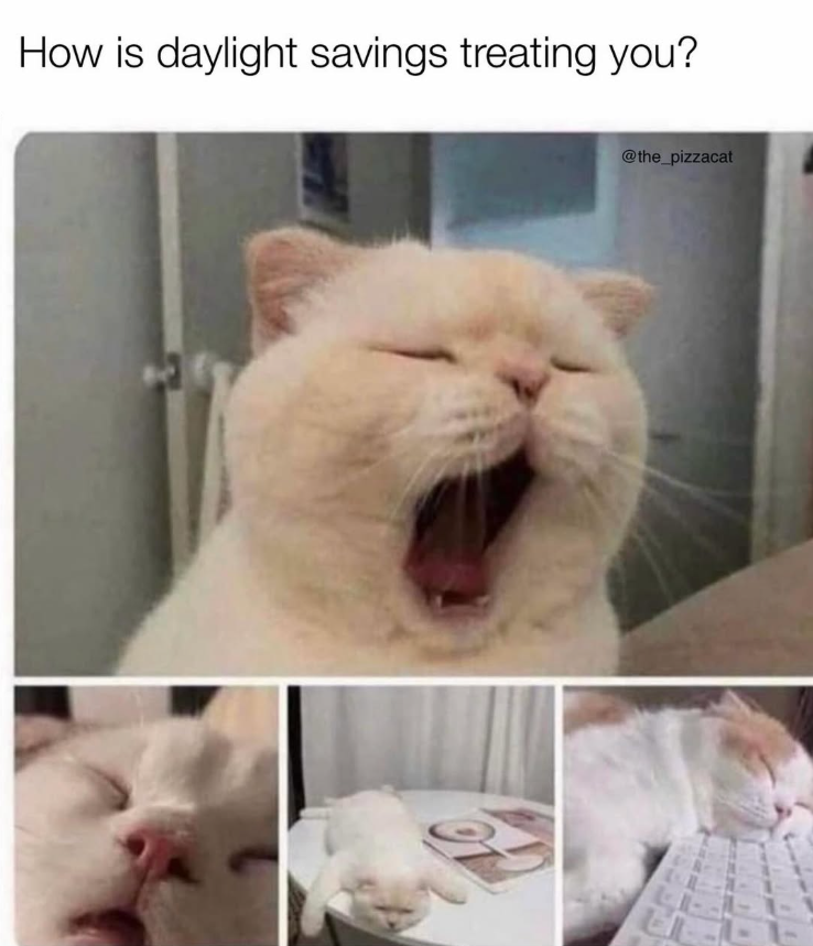 How is daylight savings treating you? @the_pizzacat LI