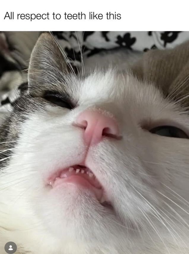 All respect to teeth like this
