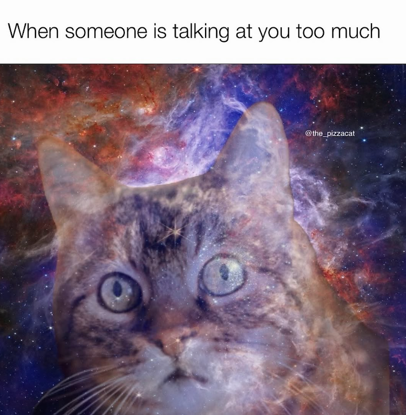 When someone is talking at you too much @the_pizzacat