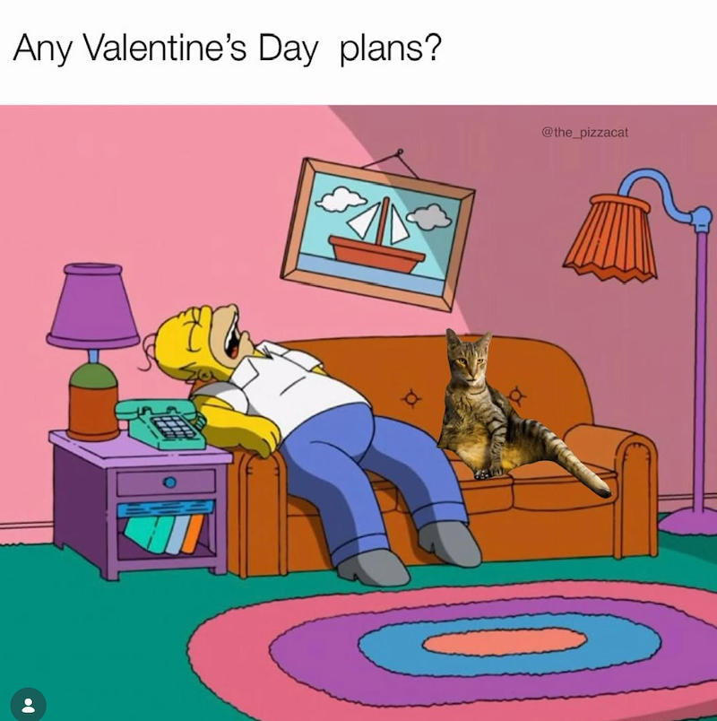 Any Valentine's Day plans? d @the_pizzacat