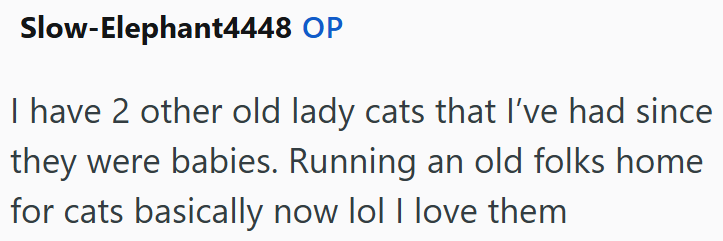 Slow-Elephant4448 OP I have 2 other old lady cats that I've had since they were babies. Running an old folks home for cats basically now lol I love them