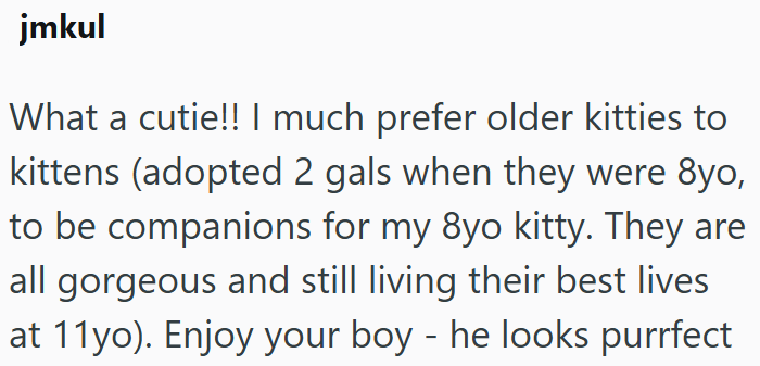 jmkul What a cutie!! I much prefer older kitties to kittens (adopted 2 gals when they were 8yo, to be companions for my 8yo kitty. They are all gorgeous and still living their best lives at 11yo). Enjoy your boy - he looks purrfect