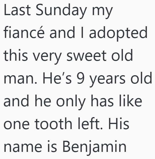 Last Sunday my fiancé and I adopted this very sweet old man. He's 9 years old and he only has like one tooth left. His name is Benjamin
