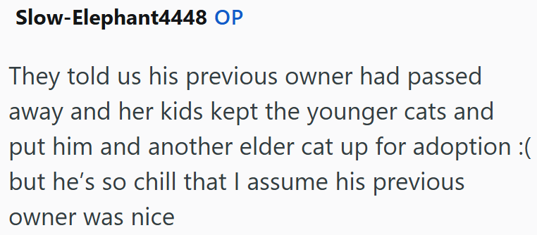 Slow-Elephant4448 OP They told us his previous owner had passed away and her kids kept the younger cats and put him and another elder cat up for adoption :( but he's so chill that I assume his previous owner was nice