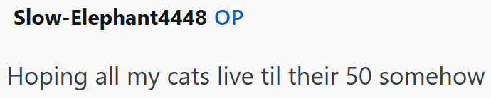Slow-Elephant4448 OP Hoping all my cats live til their 50 somehow