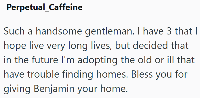 Perpetual_Caffeine Such a handsome gentleman. I have 3 that I hope live very long lives, but decided that in the future I'm adopting the old or ill that have trouble finding homes. Bless you for giving Benjamin your home.
