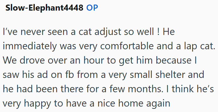 Slow-Elephant4448 OP I've never seen a cat adjust so well! He immediately was very comfortable and a lap cat. We drove over an hour to get him because I saw his ad on fb from a very small shelter and he had been there for a few months. I think he's very happy to have a nice home again