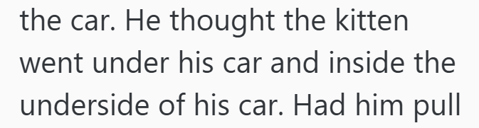 the car. He thought the kitten went under his car and inside the underside of his car. Had him pull