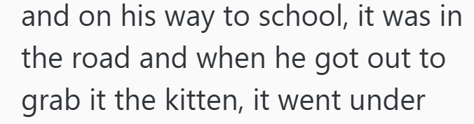 and on his way to school, it was in the road and when he got out to grab it the kitten, it went under