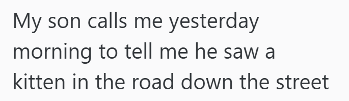 My son calls me yesterday morning to tell me he saw a kitten in the road down the street