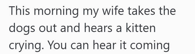 This morning my wife takes the dogs out and hears a kitten crying. You can hear it coming