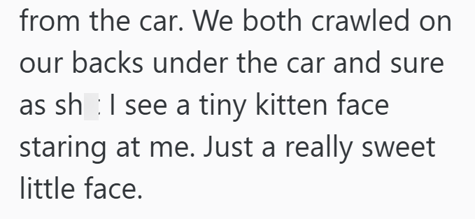 from the car. We both crawled on our backs under the car and sure as sh I see a tiny kitten face staring at me. Just a really sweet little face.