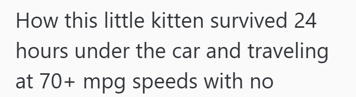 How this little kitten survived 24 hours under the car and traveling at 70+ mpg speeds with no