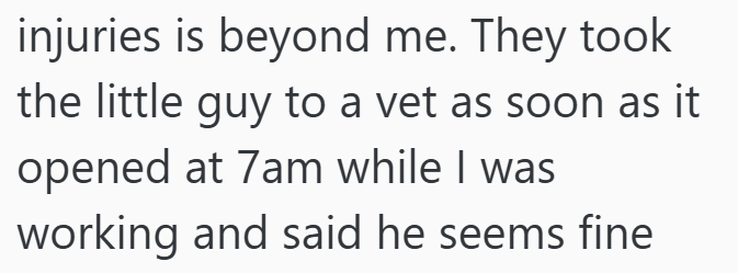 injuries is beyond me. They took the little guy to a vet as soon as it opened at 7am while I was working and said he seems fine
