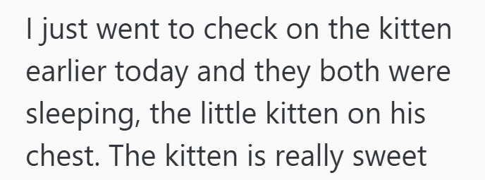 I just went to check on the kitten earlier today and they both were sleeping, the little kitten on his chest. The kitten is really sweet