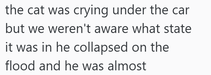 the cat was crying under the car but we weren't aware what state it was in he collapsed on the flood and he was almost